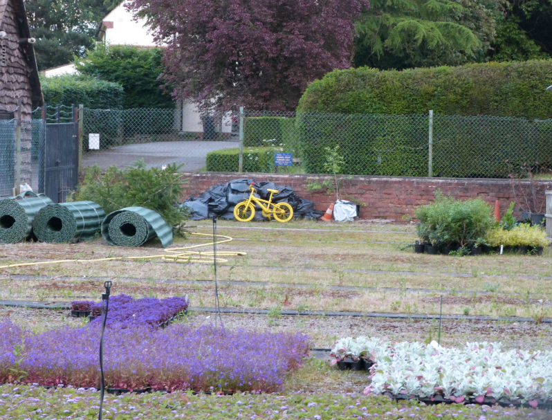 101 Bicyclettes, Harlow Nurseries 101 Bicyclettes, Harlow Nurseries
