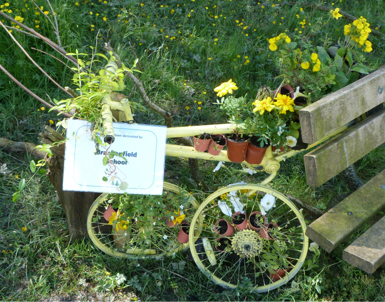 101 Bicyclettes, Pinewoods, Brackenfield School 101 Bicyclettes, Pinewoods, Brackenfield School