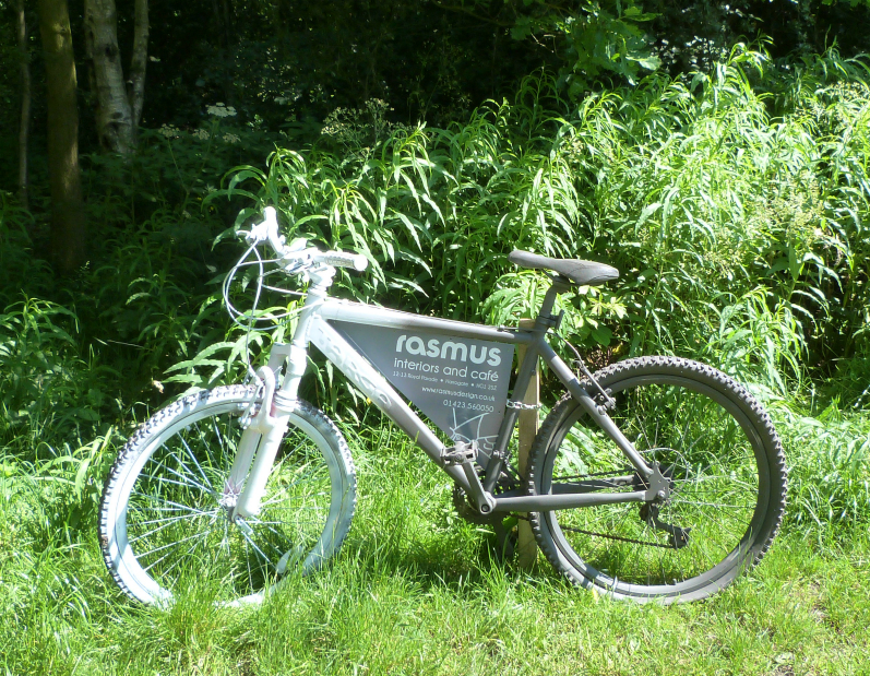 101 Bicyclettes, Pinewoods, Rasmus 101 Bicyclettes, Pinewoods, Rasmus