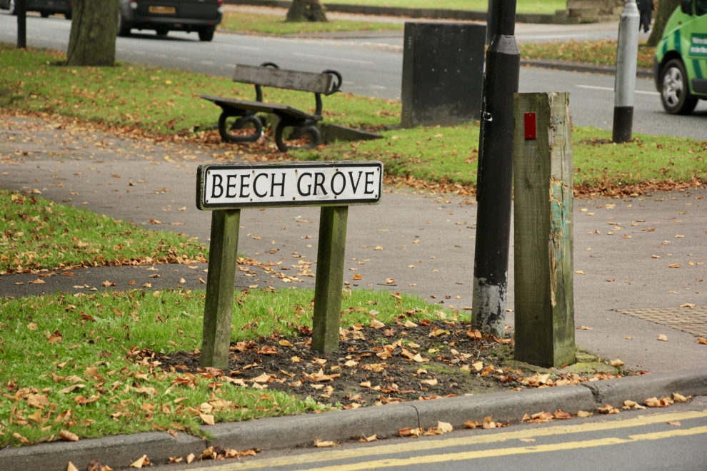Beech Grove, Harrogate Beech Grove, Harrogate