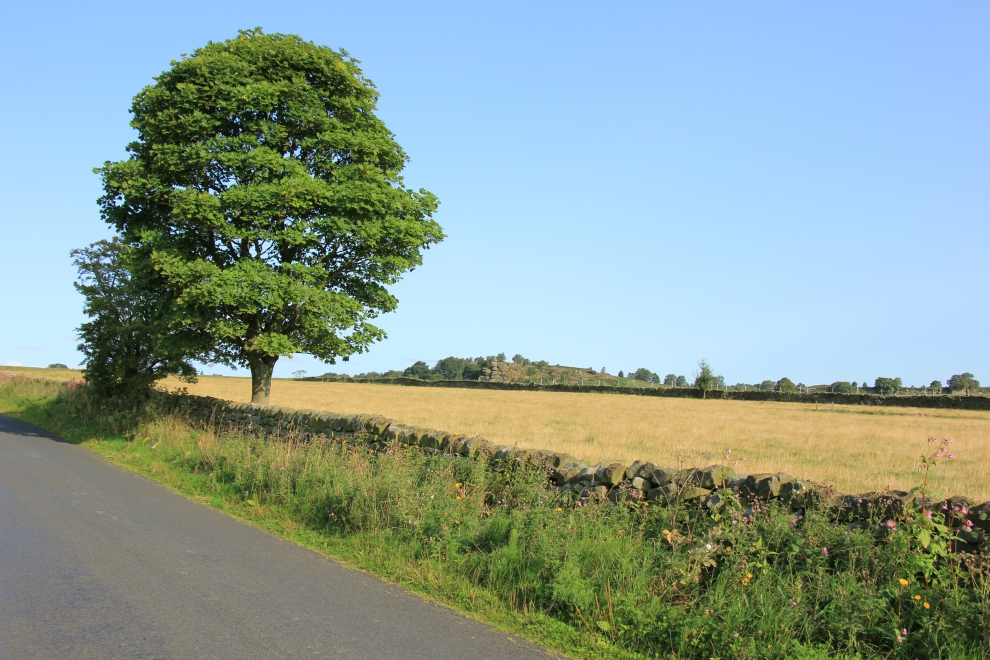Brimham Rocks Road Brimham Rocks Road