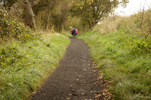NCN 1, Cinder Track near Burniston
