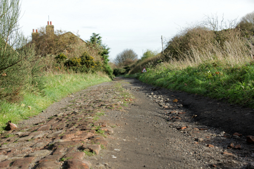 NCN 1, Cinder Track near Ravenscar