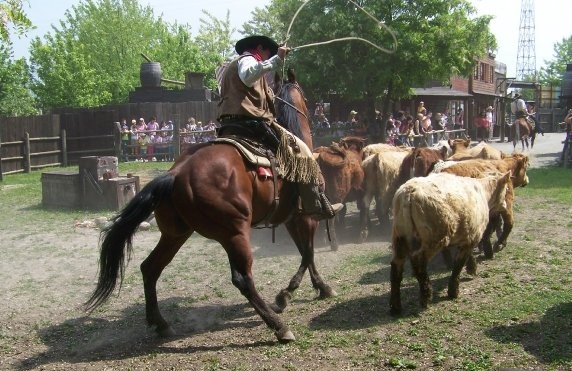 Cowboyland, Voghera