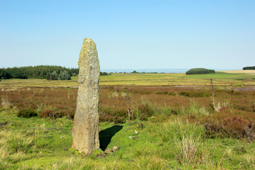 Dallow Moor Dallow Moor boundary stone