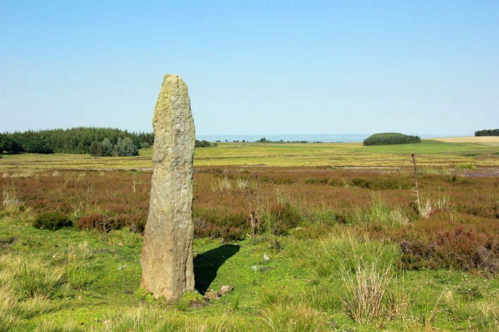 Boundary stone on Dallow Moor