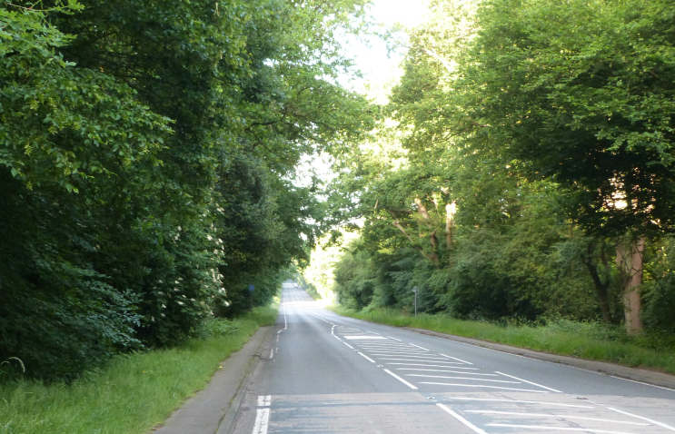 Epping Forest