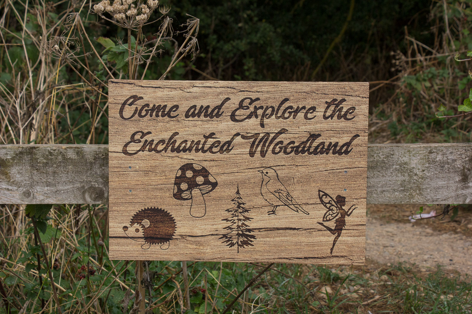 North Ferriby woodland