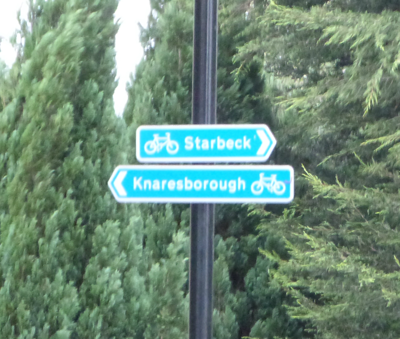 Cycle signs on Forest Lane Cycle signs on Forest Lane