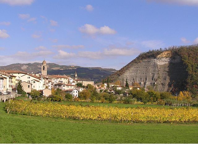 Galeata