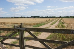 Mill Road to Goldsborough Mill Road to Goldsborough