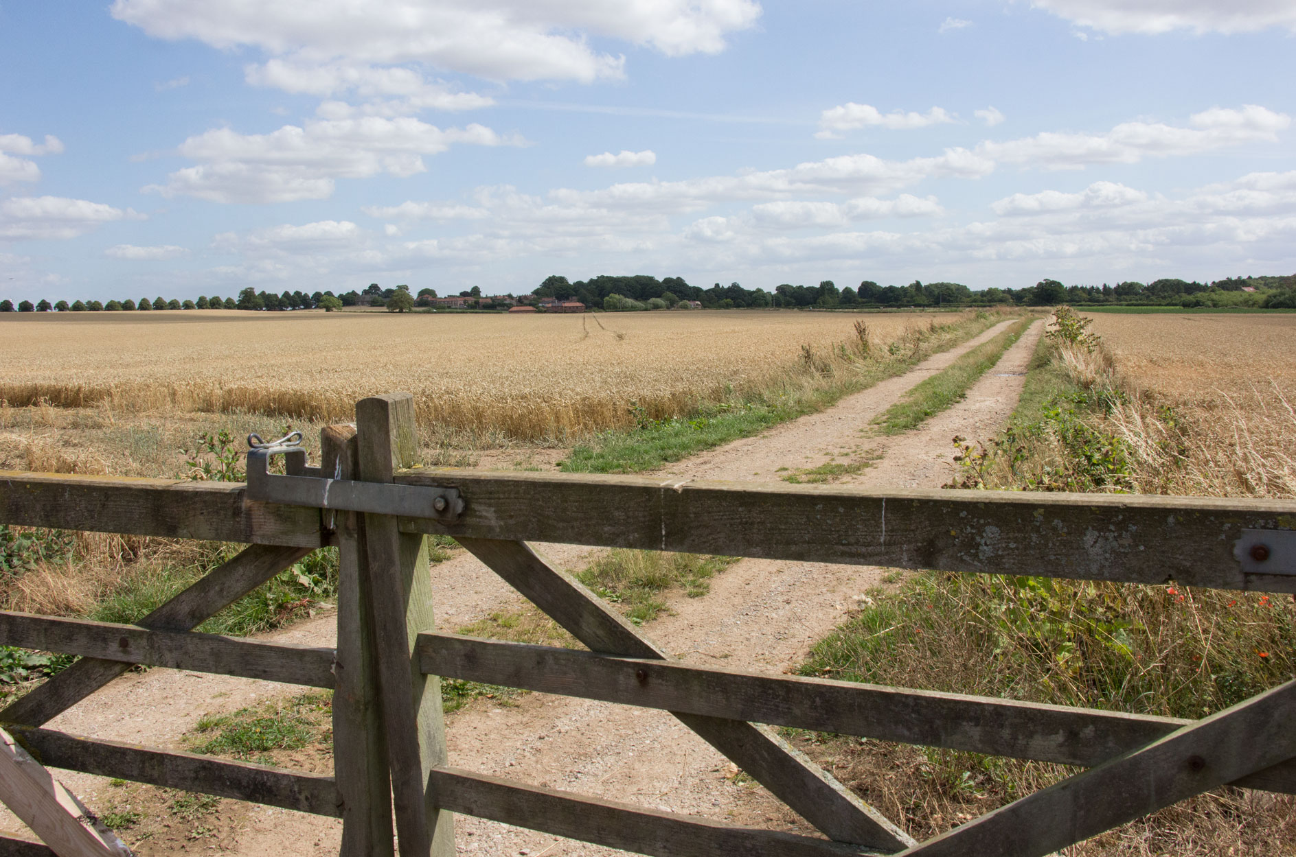 Mill Road to Goldsborough Mill Road to Goldsborough