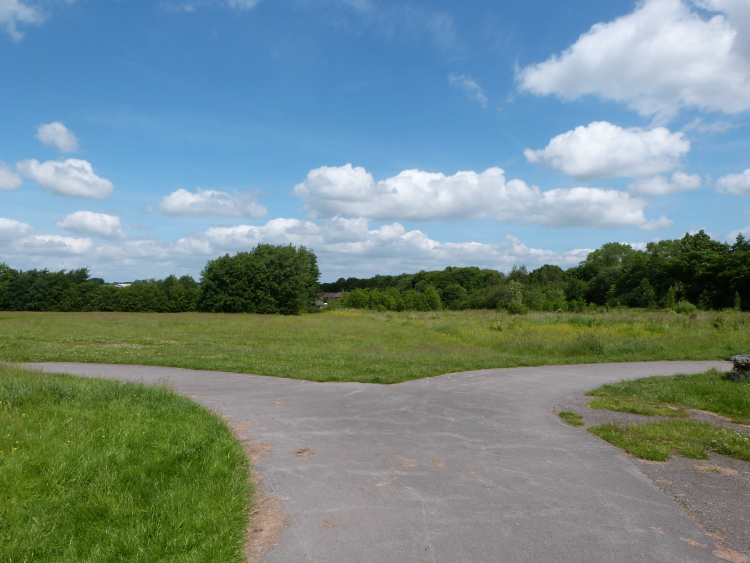 Fork in path in Stonefall Park Fork in path in Stonefall Park