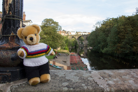 World Champion bear at Knaresborough