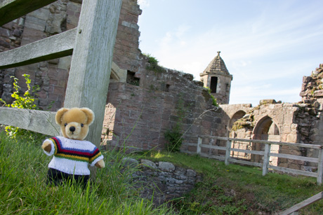 World Champion bear at Spofforth