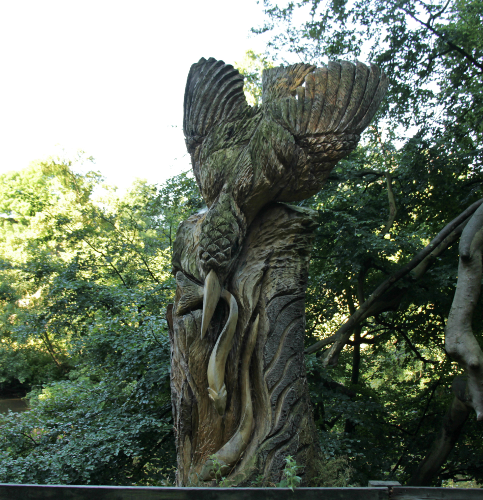 Kingfisher carved into tree stump, Abbey Road, Knaresborough Kingfisher carved into tree stump, Abbey Road, Knaresborough