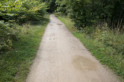 Crushed limestone surface