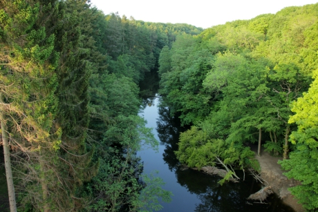 Nidd Gorge