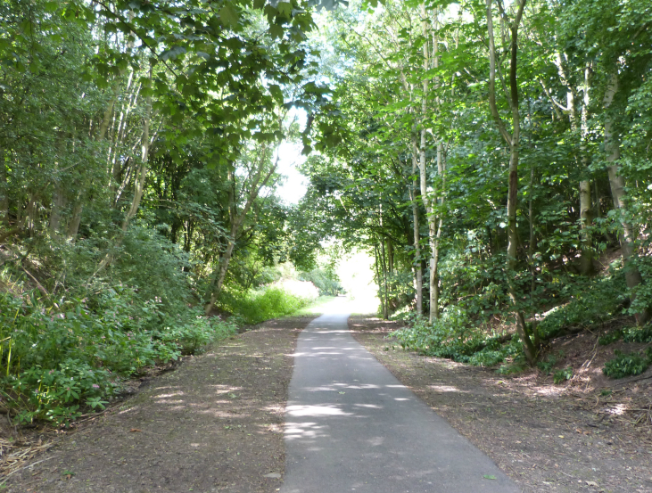Nidderdale Greenway goes through woods Nidderdale Greenway goes through woods
