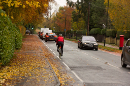 Cyclist on Oatlands Drive