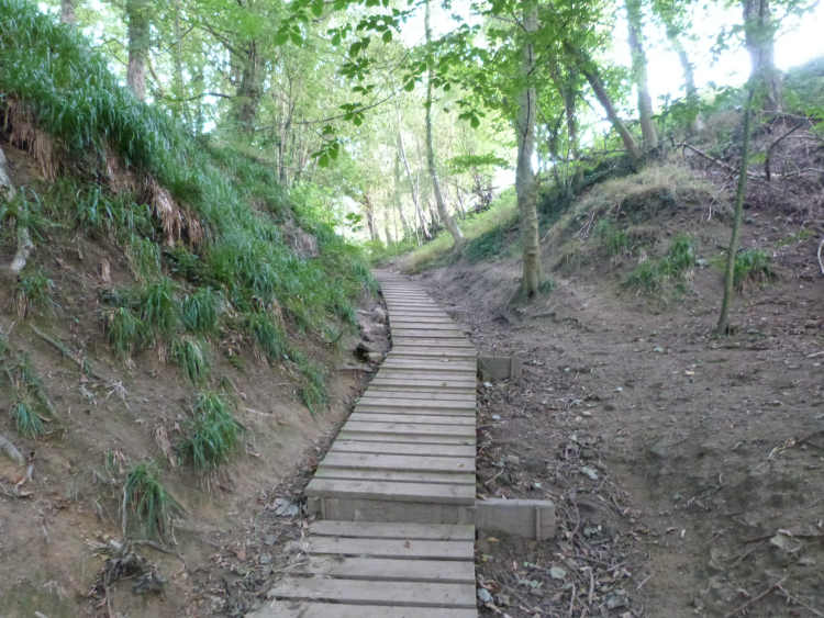Wooden boarded section of bridleway Wooden boarded section of bridleway