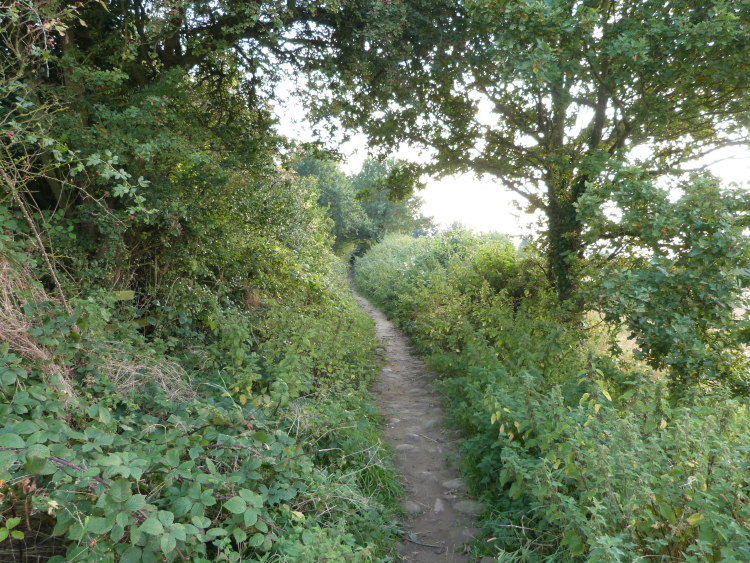 Bridleway from Old Bilton