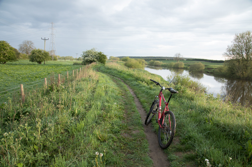 Bridleway by the Ouse near Poppleton