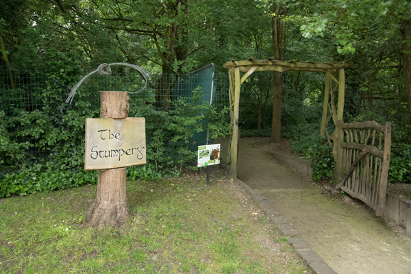 The Stumpery at Burnby Hall