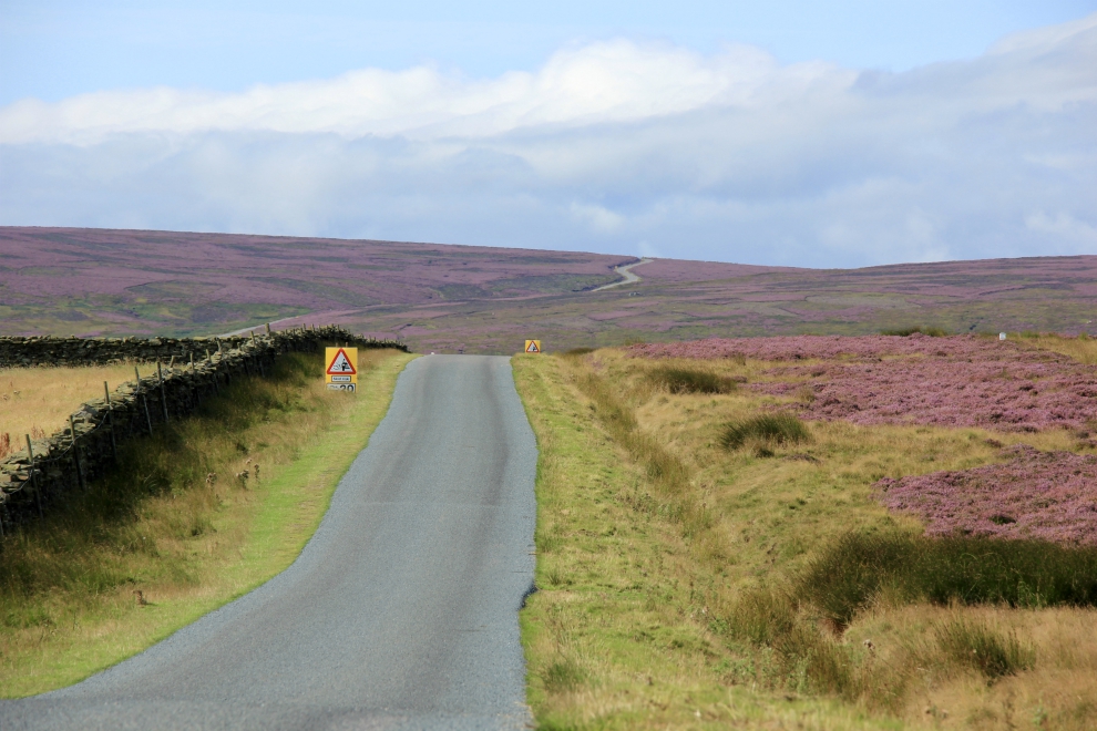 Pott Moor, near Lofthouse Pott Moor, near Lofthouse