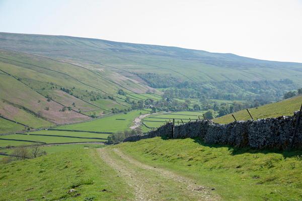 Track above Littondale