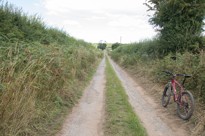 Red Kite Mountain Bike Trail