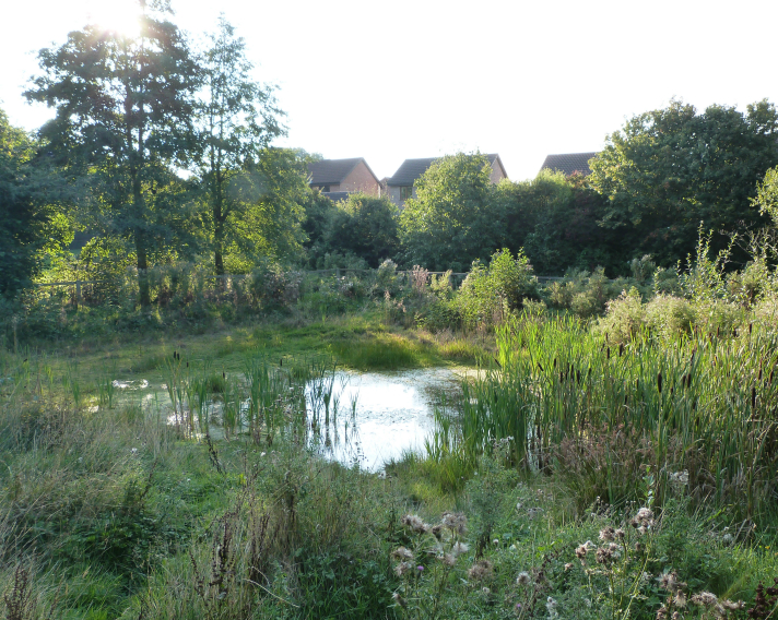 Rossett Local Nature Reserve Rossett Local Nature Reserve
