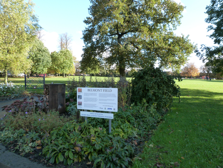 Starbeck Belmont Field