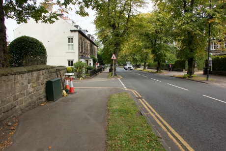 Grass verge on Otley Road