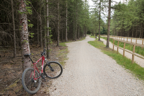 Cyclocross Course, Sutton Bank
