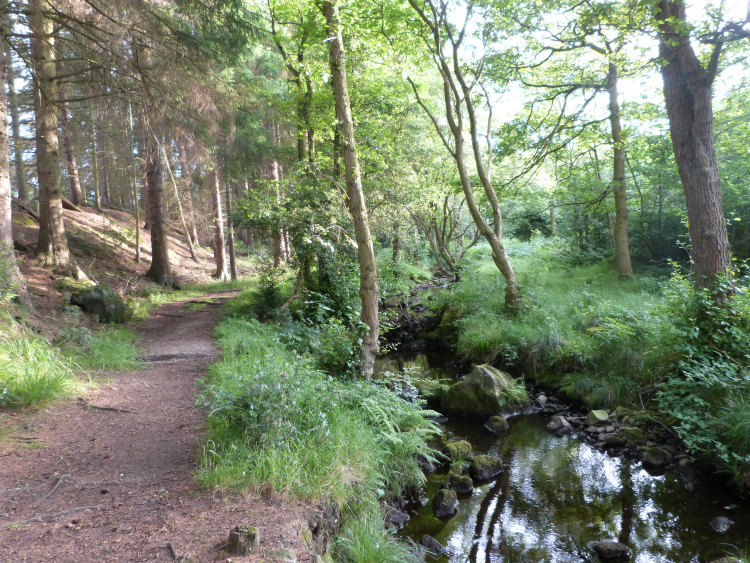 Gill Beck, Timble