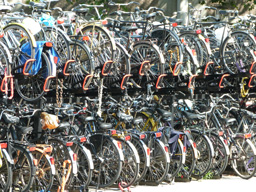Bike parking Utrecht