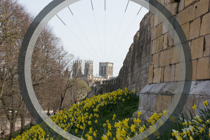 Looking towards York Minster from the City Walls