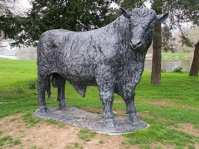 Welsh black bull, bronze statue, Builth Wells Welsh black bull, bronze statue, Builth Wells