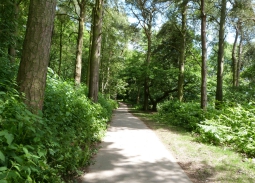 Yorkshire Showground Greenway Yorkshire Showground Greenway